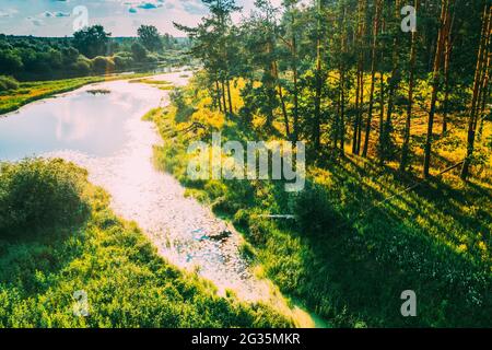 Weißrussland. Luftaufnahme Von Trockenem Gras Und Kleiner Moor Marsh Sumpflandschaft Im Frühling. Gute Aussicht. Marsh Moor. Vogelperspektive Stockfoto