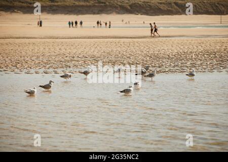 Cornish Touristenziel Hayle, in St. Ives Bay, Cornwall, England, Hayle Beach Stockfoto