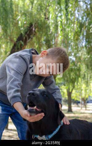 Der Junge streichelt dem schwarzen Hund den Rücken und stützt seinen Kopf mit der anderen Hand. Ein Kind mit blonden Haaren und eine weibliche Labrador vor gre-Hintergrund Stockfoto