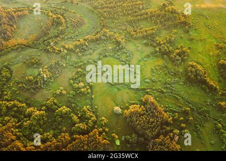 Luftaufnahme Green Forest Woods Park und Creek Stream Landschaft im Sommerabend. Top Blick Auf Die Schöne Europäische Natur Von High Attitude. Drohnenansicht Stockfoto