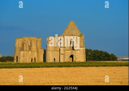 FRANKREICH, CHARENTE-MARITIME (17) INSEL RE, ABTEI NOTRE-DAME-DE-RE, GENANNT ABTEI VON CHATELIERS, IST HEUTE EINE ZERSTÖRTE ZISTERZIENSERABTEI Stockfoto