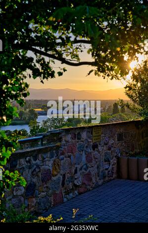 Breisach am Rhein Schwarzwald Deutschland Schwarzwald Kaiserstuhl Stockfoto