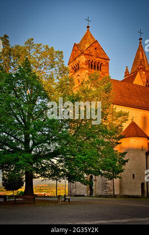 Breisach am Rhein Schwarzwald Deutschland Schwarzwald Kaiserstuhl Stockfoto