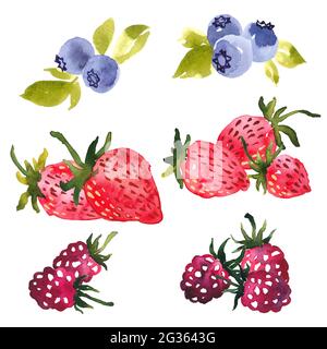 Aquarell Clip Art Auswahl von Sommerbeeren. Erdbeeren, Blaubeeren und Himbeeren Stockfoto