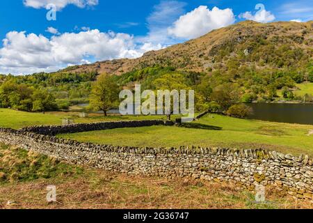 Trockene Steinmauern entlang des Fußweges bei Rydal Water mit NAB Scar im Hintergrund, Lake District, England Stockfoto