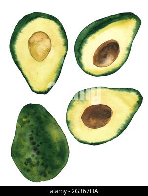 Avocado halbiert Illustration. Handbemaltes Aquarell-Clip-Art-Set Stockfoto