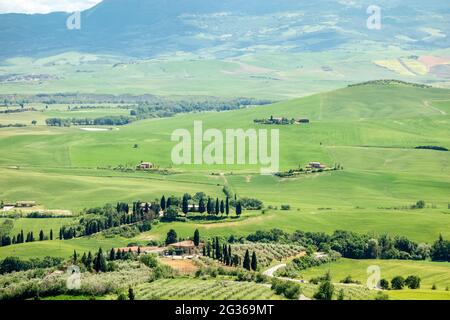 PIENZA, TOSKANA, ITALIEN - MAI 19 : Landschaft des Val d'Orcia in der Nähe von Pienza Italien am 19. Mai 2013 Stockfoto