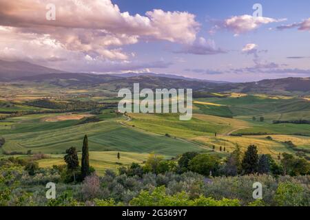 Abendsonne Baden Ackerland unter Pienza in der Toskana Stockfoto