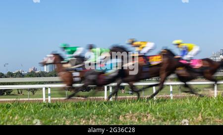 Pferderennen Nahaufnahme Bewegungsgeschwindigkeit Unbekannte Jockeys und Pferde auf Rasen Strecke laufen Reiten Aktion Nahaufnahme Panoramabild. Stockfoto