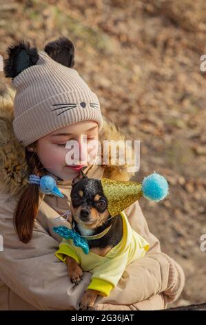 Außenportrait eines 10- 11-jährigen Mädchens in warmer beigefarbener Jacke mit einem chihuahua Hund. Geburtstag Stockfoto