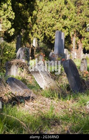 Alte Gräber auf dem Wiener Zentralfriedhof Stockfoto