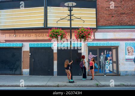 Familie in Harvard Square, „Out of Town“ Newstand, Cambridge, Boston, MA, New England, USA Stockfoto