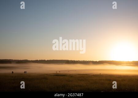 Morgennebel auf der Salisbury Plain am Tag der Sommersonnenwende. Stonehenge, England, Großbritannien. Stockfoto