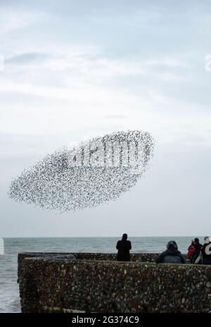 Menschen an der Abenddämmerung beobachten EINE Sternmurmerung am Strand in Brighton, East Sussex, Großbritannien Stockfoto