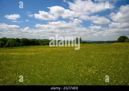 Landschaftsansicht über die Cotswolds in England Stockfoto