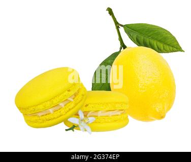 Zitronenmakronen isoliert auf weißem Hintergrund Stockfoto