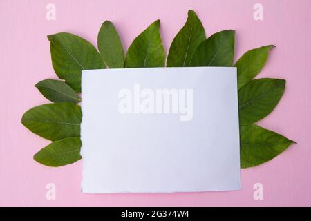 Unbeschriftete Papierkarte auf rosa pastellfarbenem Hintergrund und zarten rosa Rosenblüten. Draufsicht Stockfoto