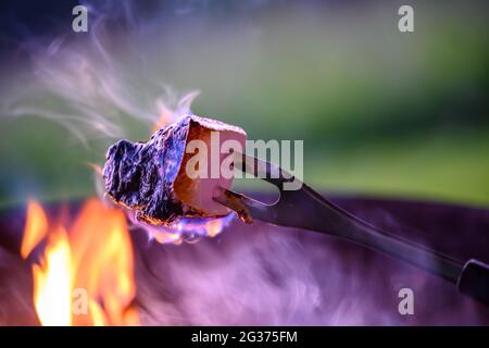 Im Freien werden auf offenem Feuer Marshallows gekocht Stockfoto