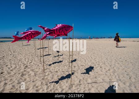 Farbenfrohe, fischförmige Drachen mit SOS an der Seite, um im Rahmen der G7-Proteste in der Carbis Bay die Sorgen über den Klimawandel für die Meereswelt hervorzuheben Stockfoto