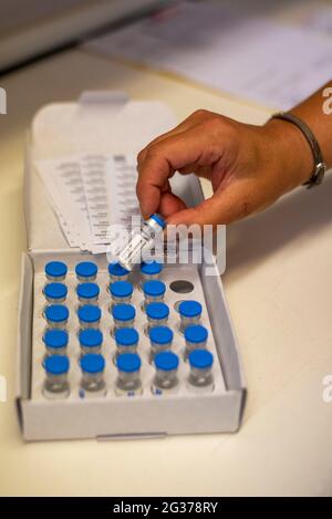 Corona-Impfstoff BioNTech Pfizer Stockfoto