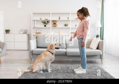 Glückliches schwarzes Mädchen, das ihrem gehorsamen Hund eine Freude macht Stockfoto