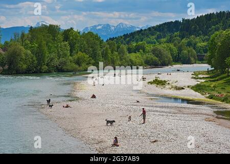 Isarbank mit Menschen und Hunden, Bad Tölz, Oberbayern, Bayern, Deutschland Stockfoto