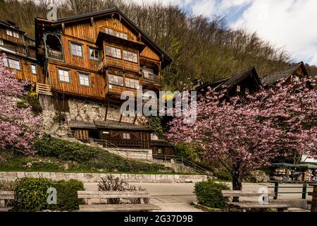 Haus an der Seepromenade im UNESCO-Weltkulturerbe Hallstatt am Hallstätter See, Salzkammergut, Oberösterreich, Österreich Stockfoto