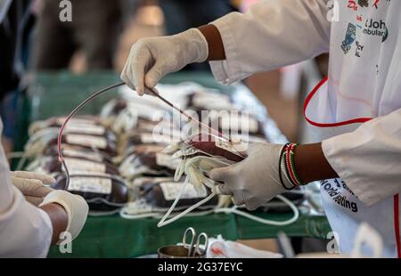 (210614) -- NAIROBI, 14. Juni 2021 (Xinhua) -- Mitarbeiter organisieren in Nairobi, Kenia, am 14. Juni 2021 Beutel mit gespendetem Blut. Montag markiert den (Xinhua/Zhang Yu) Stockfoto