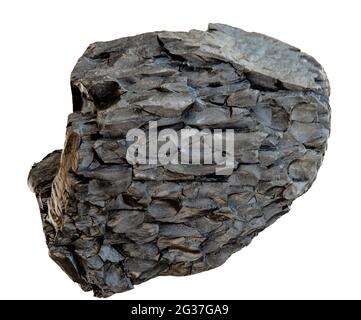 Ungewöhnlicher schuppiger schwarzer Stein, nicht identifiziert. Geologie. Isoliert auf Weiß. Stockfoto