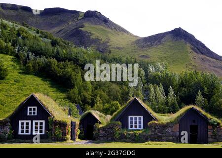 Grasstachelhäuser, Museumsdorf, Skogafoss, Südisland, Island Stockfoto