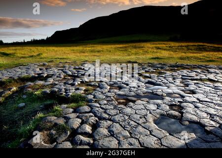 Säule Baslat, Kirkjugolf, Kirchenboden, Basaltsäulen stehen vertikal im Boden, Kirkjubaejarklaustur, Südküste, Island Stockfoto