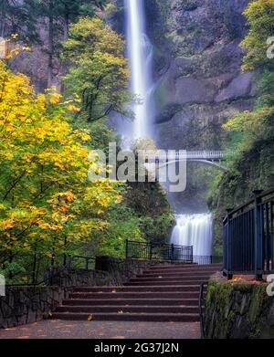 Multnomah Falls. mit Bahn und Herbst Farbe. Columbia River Gorge National Scenic Bereich, Oregon Stockfoto