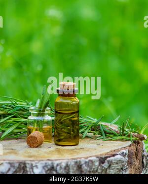 Eine Flasche Rosmarinöl auf einem Baumstumpf. Ätherisches Öl, natürliche Heilmittel. Natur. Selektiver Fokus Stockfoto