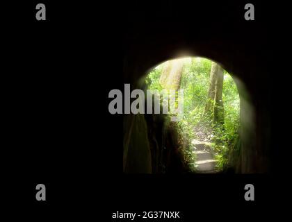 Mystische Höhle oder Tunnel bis zu einem tiefen Wald, Sonnenaufgang scheint auf alte Treppe, Blick von innen Tunnel Blick aus. Konzentrieren Sie sich auf Bäume. Stockfoto