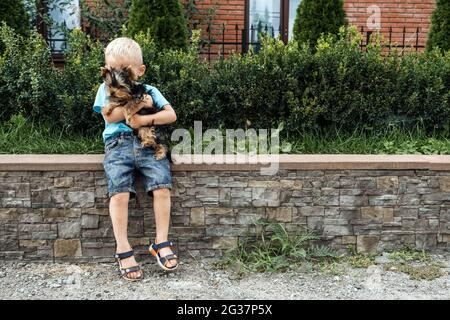 Junge mit yorkshire Terrier Hund Welpen. Netter Baby umarmt york Terrier Welpe und sitzt auf grünem Gras im Garten. Stockfoto