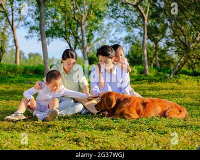 Glückliche Familie von vier und Hund spielen im Park qualitativ hochwertige Foto Stockfoto