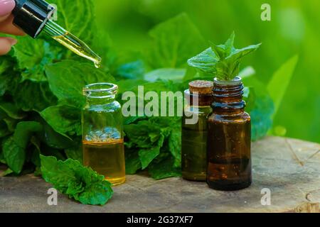 Bernsteinflasche mit ätherischem Öl Pfefferminze mit frischen Minzblättern, Kräuterduft in einem dunklen Glas. Aromatherapie-Konzept. Selektiver Fokus Stockfoto