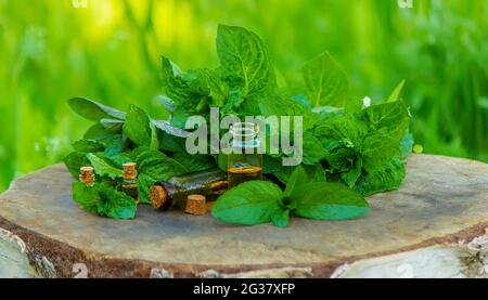 Bernsteinflasche mit ätherischem Öl Pfefferminze mit frischen Minzblättern, Kräuterduft in einem dunklen Glas. Aromatherapie-Konzept. Selektiver Fokus Stockfoto