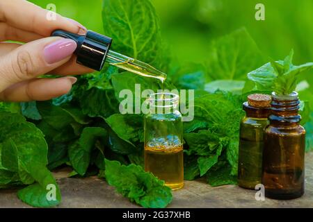 Bernsteinflasche mit ätherischem Öl Pfefferminze mit frischen Minzblättern, Kräuterduft in einem dunklen Glas. Aromatherapie-Konzept. Selektiver Fokus Stockfoto