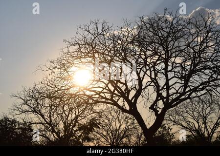 A beeza do céu e do por-do-sol Stockfoto