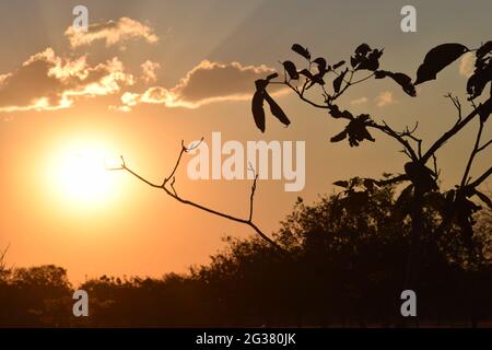 A beeza do céu e do por-do-sol Stockfoto