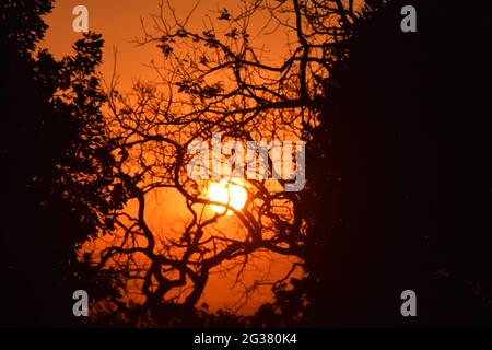 A beeza do céu e do por-do-sol Stockfoto