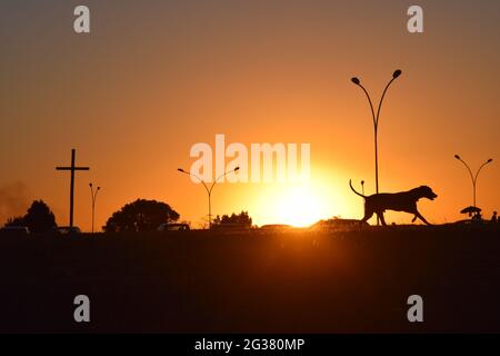 A beeza do céu e do por-do-sol Stockfoto