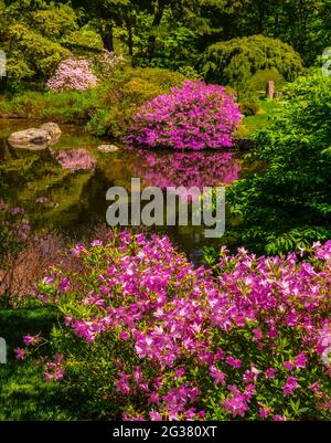 Asticou Gärten, Northeast Harbor, Mount Desert Island, Maine, USA Stockfoto