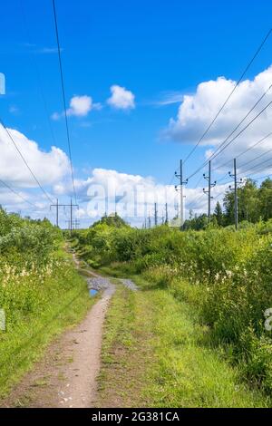 Unbefestigte Straße unter einer Stromleitung im Wald Stockfoto
