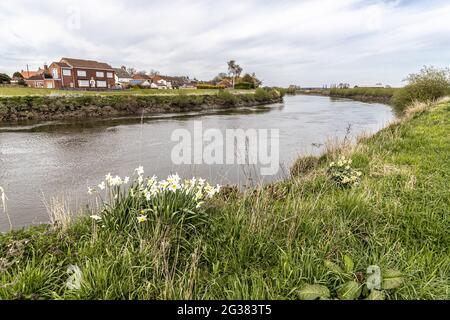 Das Dorf West Stockwith am Fluss Trent, Nottinghamshire, Großbritannien Stockfoto