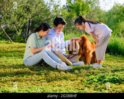 Glückliche Familie von drei und Hund spielen im Park qualitativ hochwertige Foto Stockfoto