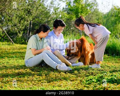 Glückliche Familie von drei und Hund spielen im Park qualitativ hochwertige Foto Stockfoto