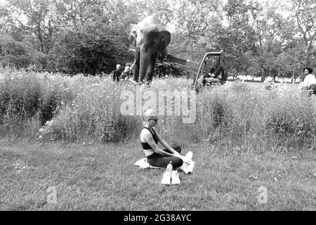 100 Elefantenskulpturen, die 5 Jahre in Anspruch genommen haben, wurden in Londoner Parks transportiert - hier kommt man im St James's Park an Stockfoto