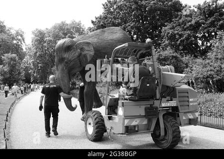 100 Elefantenskulpturen, die 5 Jahre in Anspruch genommen haben, wurden in Londoner Parks transportiert - hier kommt man im St James's Park an Stockfoto